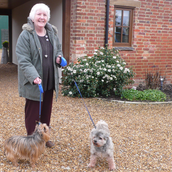 Lady with dogs